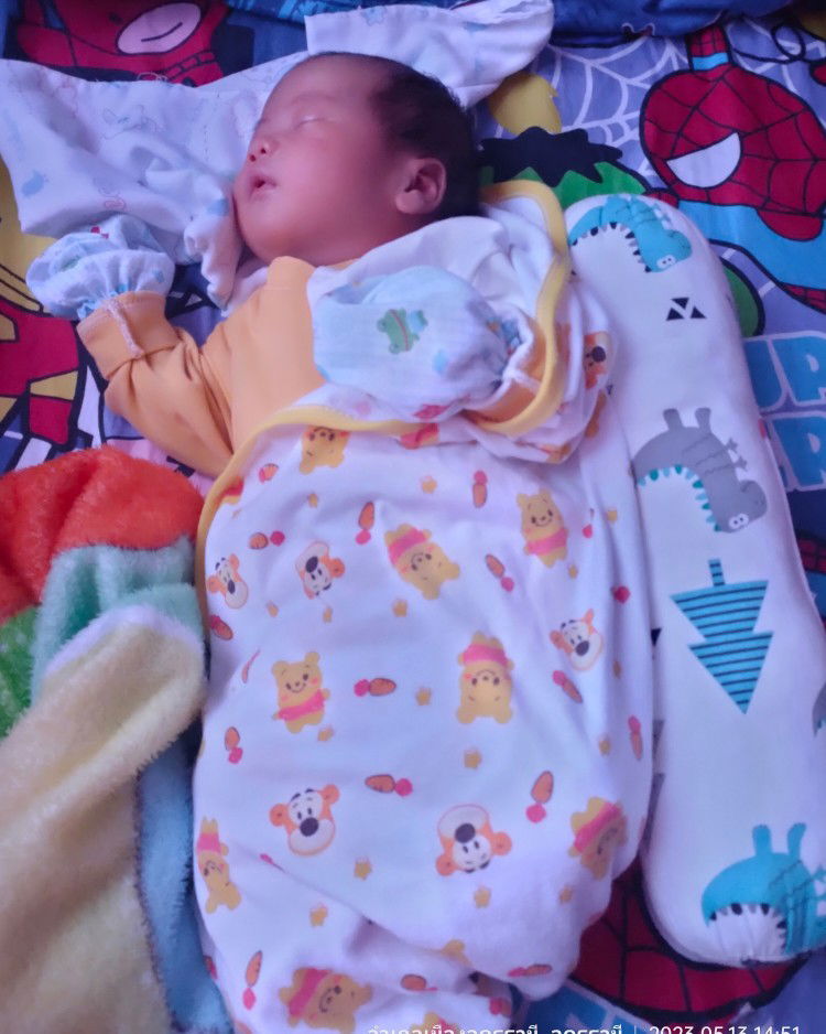 เหมย เหมย profile icon