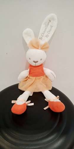 ตุ๊กตาปักชื่อ