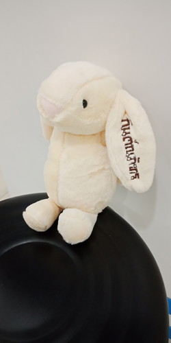 ตุ๊กตาปักชื่อ