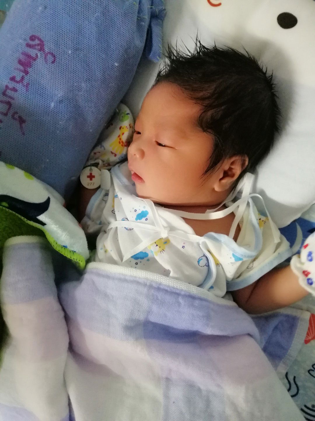 Sara Nussara profile icon