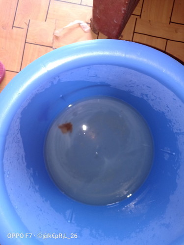1cm