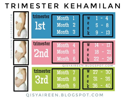 macam mana nk jwb dgn betul klu org tya dh berapa bulan pregnant?