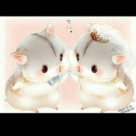 Dwi Saputri profile icon