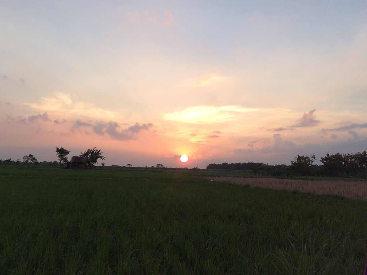 Lestari profile icon