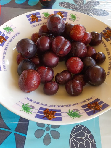 แม่ท้องทานลูกไหนหรือเชอร์รี่ดอยได้ไหมคะ?