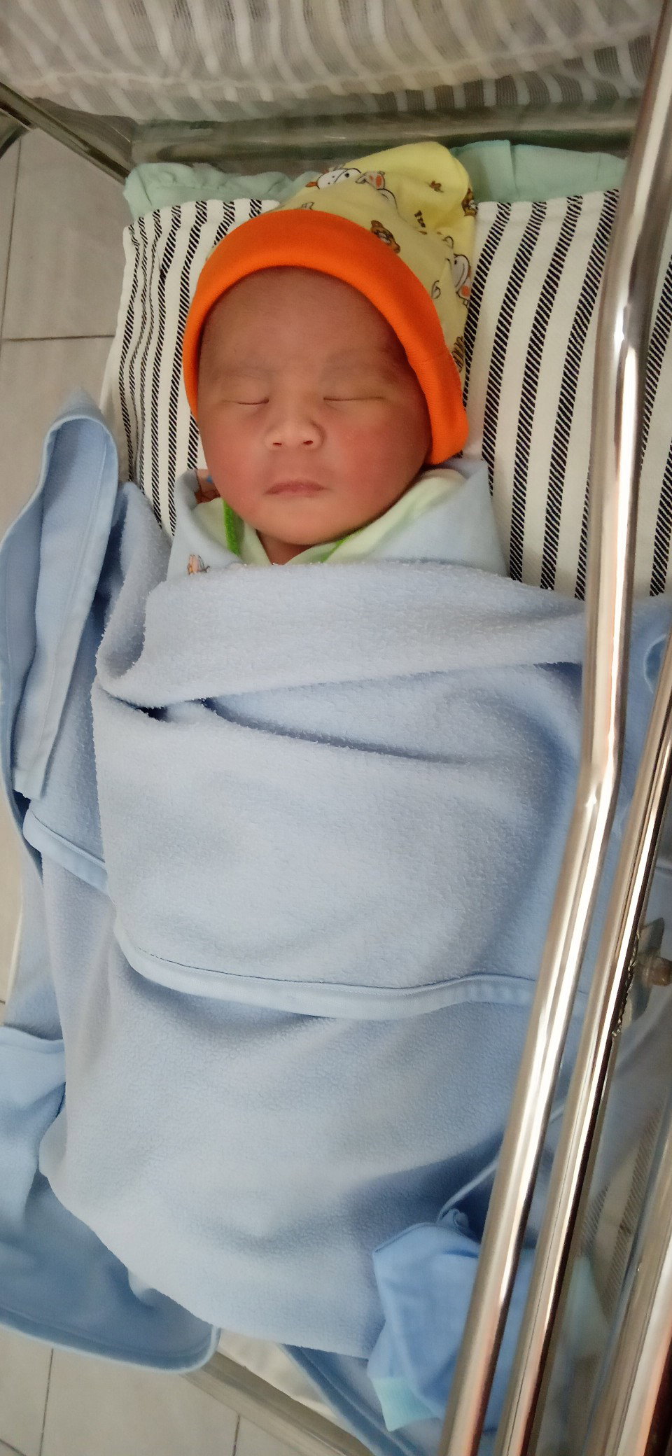 HPL LEWAT 5 HARI