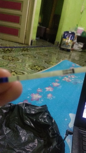 tentang tespeck
