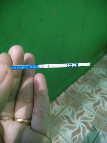 kehamilan