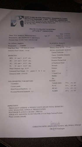 16weeks 4days Pelvic Ultrasound