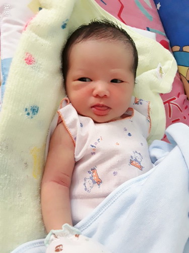 แตกแร้วจร่