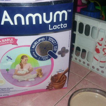 Susu hamil