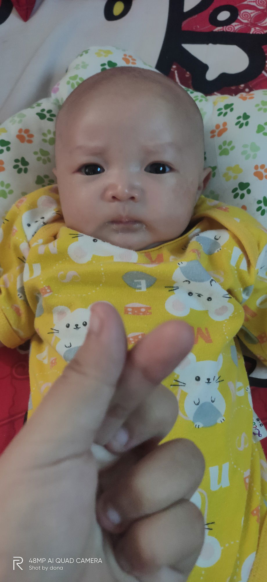 Putri Dona profile icon