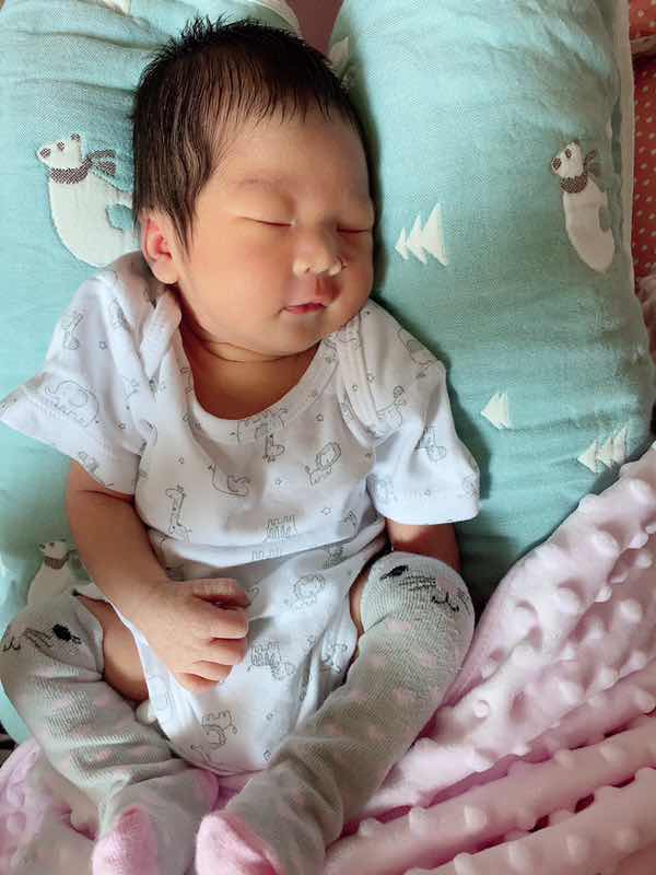 Papa Ai profile icon