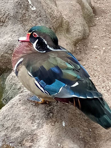 My name fa profile icon