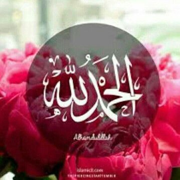 NORLAILI ABD SATAR profile icon