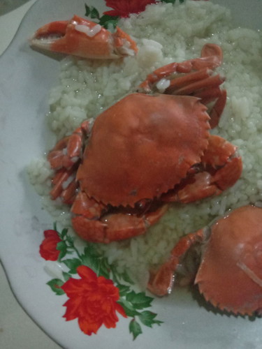 kepiting
