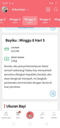 hamil