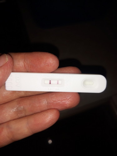 weeks of pregnancy