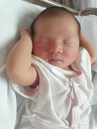 ใบตองมาแล้วค่าา