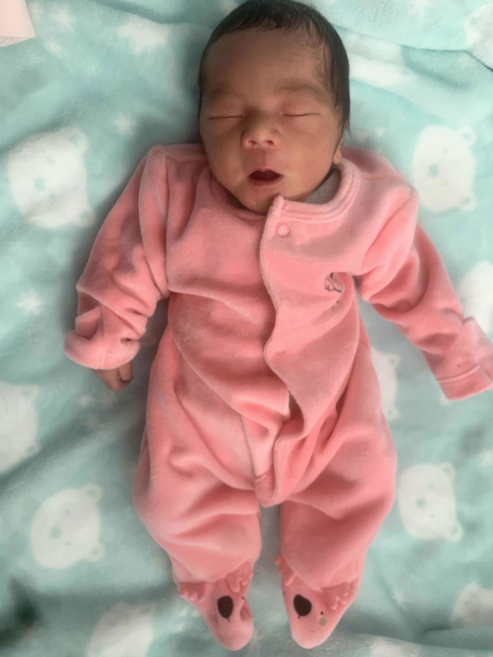 Tenzin Phurbu profile icon