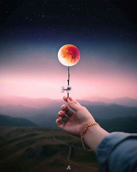 Andyyy the great ♡ profile icon