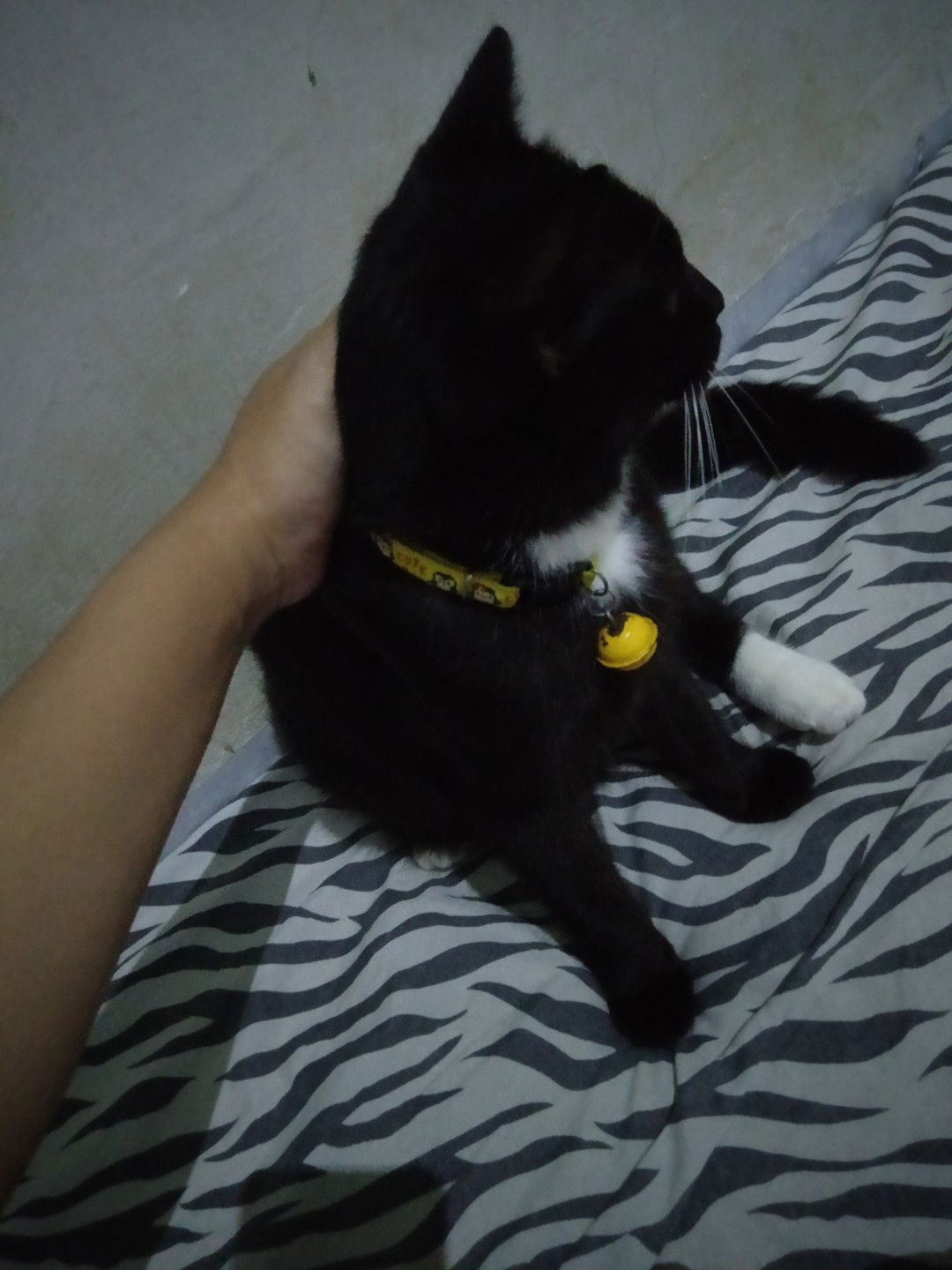 lyta rahilah profile icon