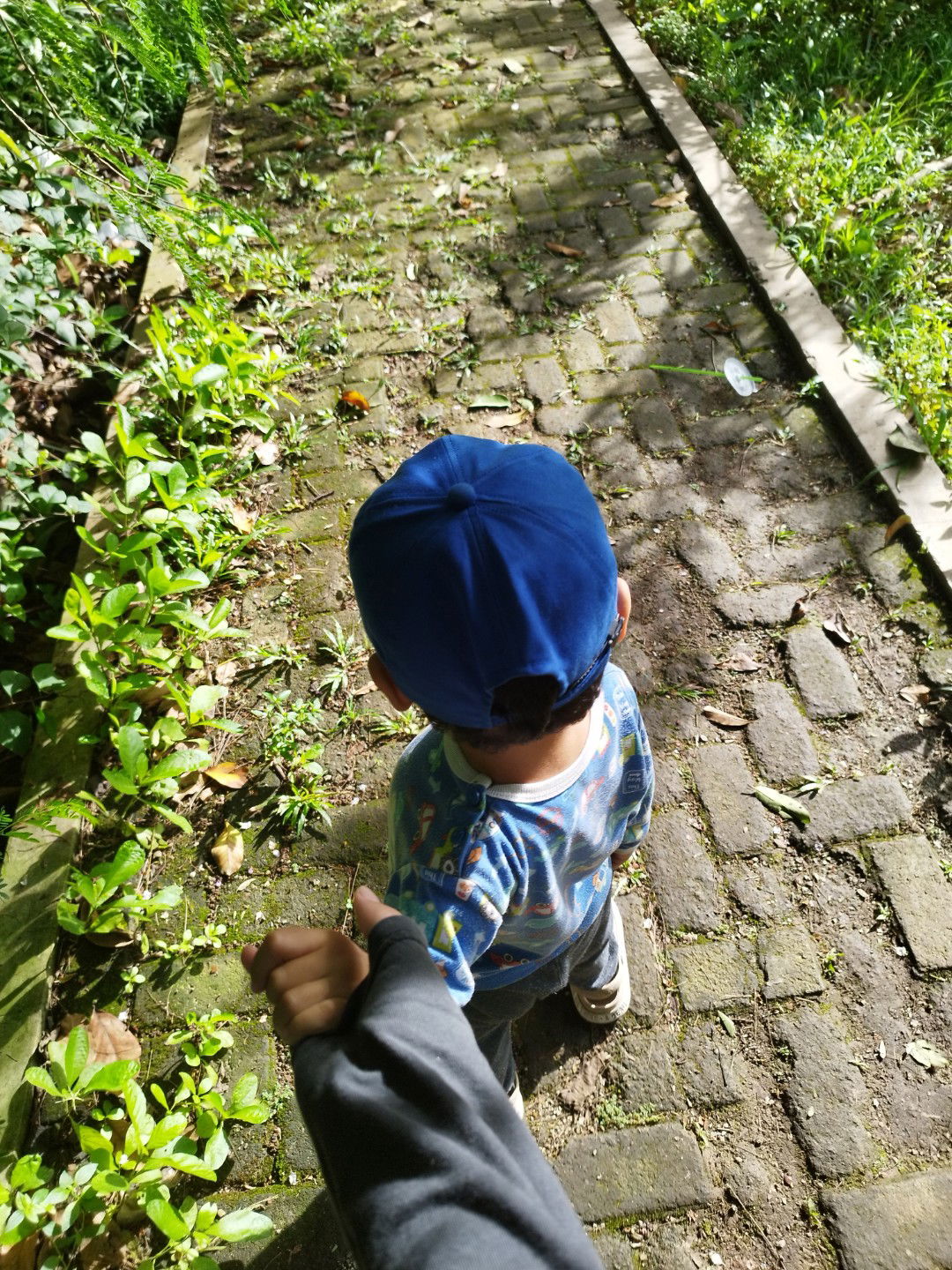 Triani Rahayu profile icon