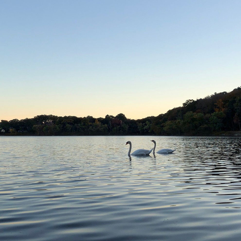 Widya Royani profile icon