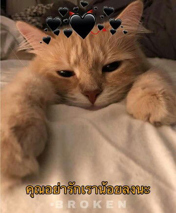 สวัสดี profile icon