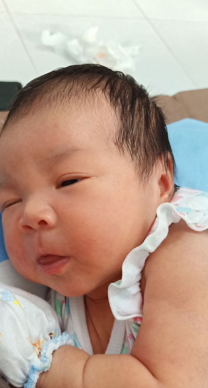 บราวนี่ profile icon