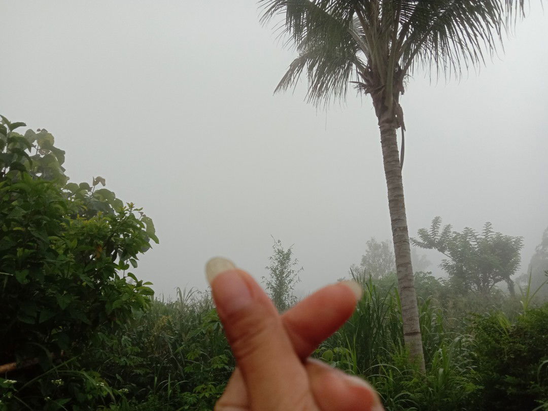 Dewi arisetiaputri profile icon