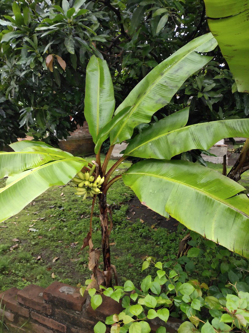 Akris Damayanti profile icon