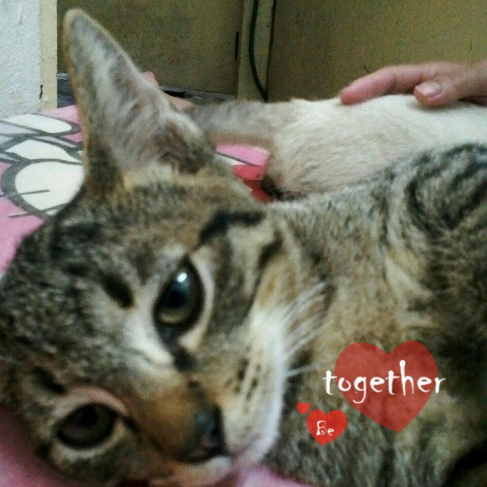 Angela anak Kaya profile icon