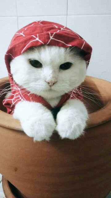 Nareerat Poppula profile icon