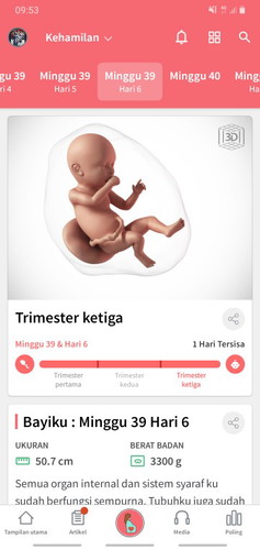 hpl menurut bidan
