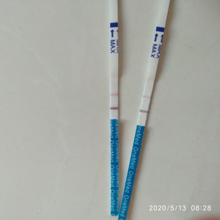 kehamilan