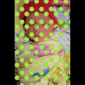 HPL 22 Juli 2020, Lahir 2 Juli 2020