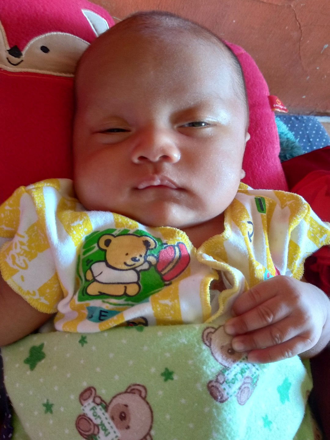 Thiena Agustina profile icon