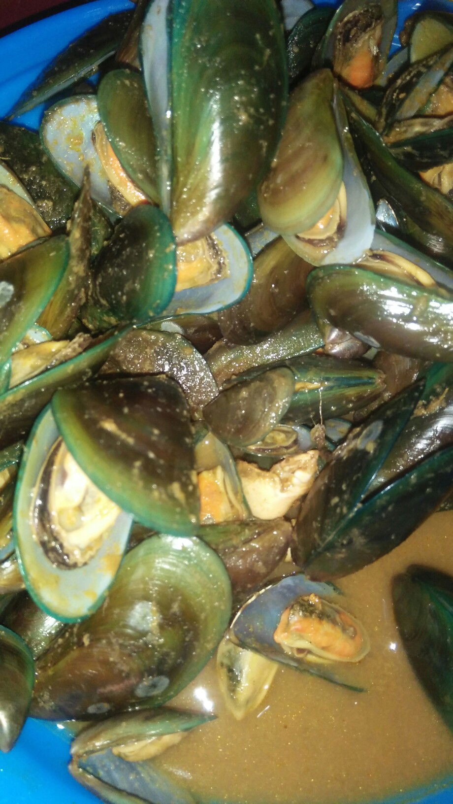 kerang hijau untuk Bumil