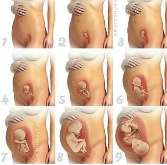 avie bacuno profile icon