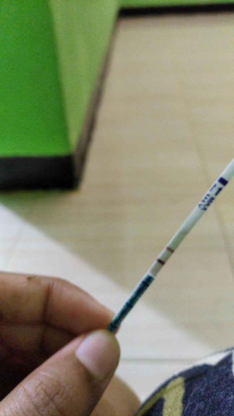 bunda.. mohon doanya agar diberikan kesehatan selalu untuk saya dan janin saya. Rrkomen susu yang bagus buat bumil susu apa ya bunda??