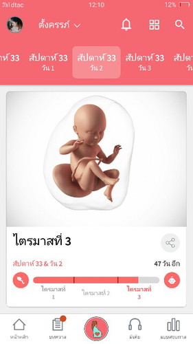 ทีม มิย