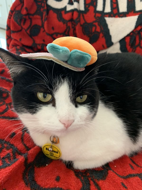 Dhanisara Na Thalang profile icon