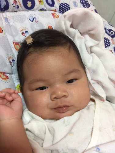 น้องเปาเปา