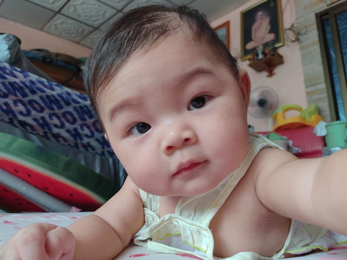 น้องเปาเปา 5m20d