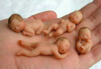 dianfand profile icon