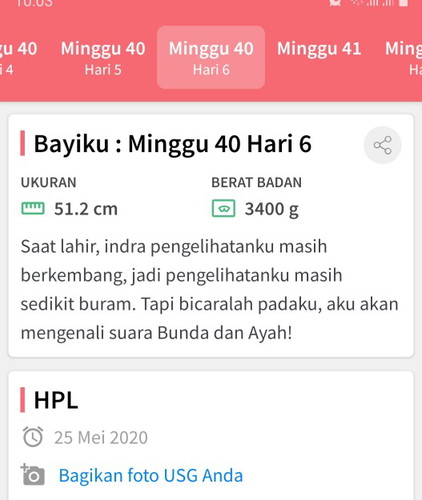 kehamilan dan persalinan