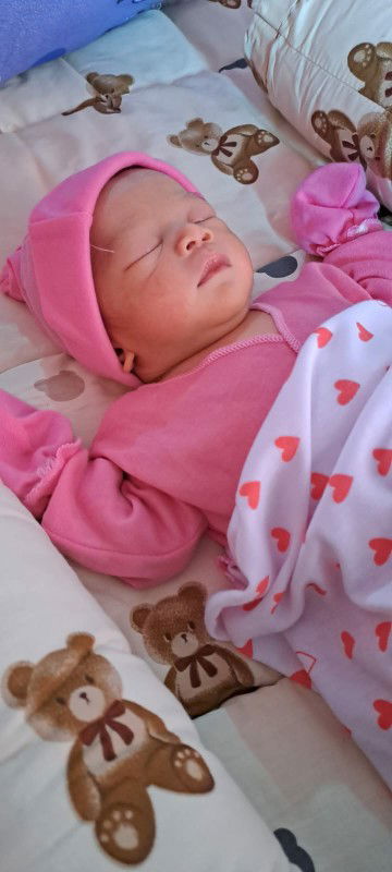 Hpl 25feb launching 15feb