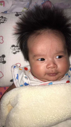 2 เดือน 17 วัน