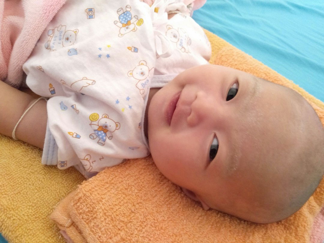 หมาน้อย